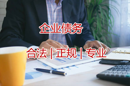 法院诉讼解决债务问题有何后果？